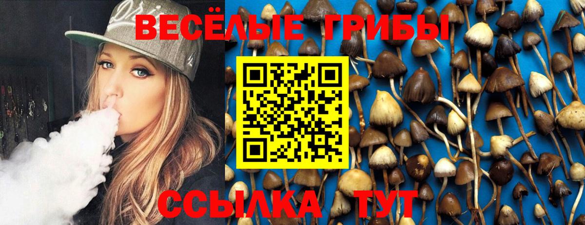 Псилоцибиновые грибы GOLDEN TEACHER Зеленогорск